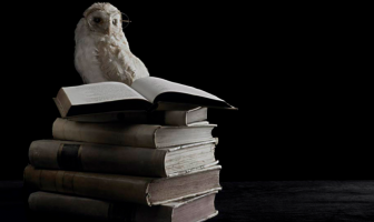 23 de Abril Dia Internacional del Libro – GHL Training School